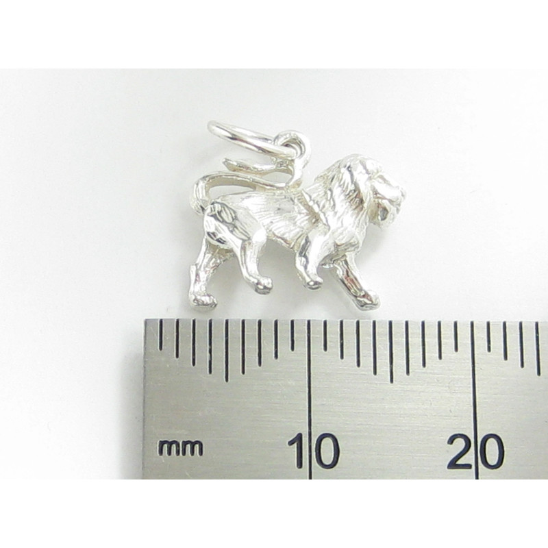 Leo The Lion Sterling Silver Charm, Zodiac Gift